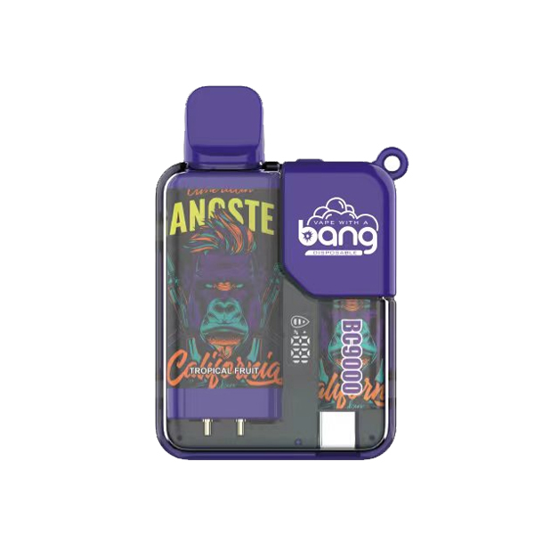 bang 9000-12 bang vape BC 9000 puff 9k sigaretta elettronica-10PCS/1 scatola