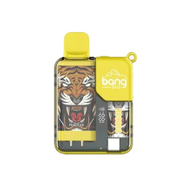 bang 9000-6 bang vape BC 9000 puff 9k sigaretta elettronica-10PCS/1 scatola