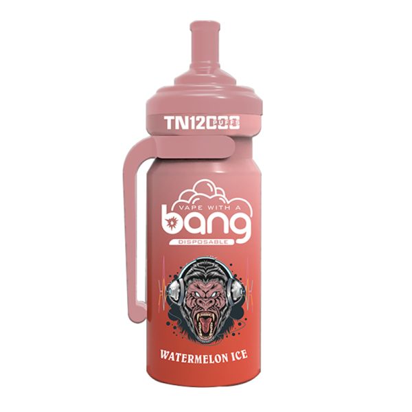 bang NT 12000-7 Vape Bang NT 12000 puff 12K E-sigaretta-10PCS/1 scatola