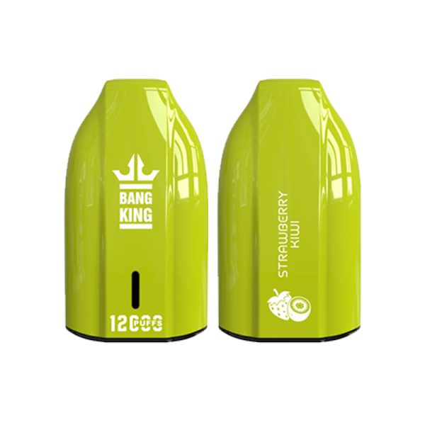 bang king 12000 puff Bang King 12000 | Esplora Bang King Vape 12000