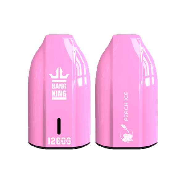 bang king 12000 puff Bang King 12000 | Esplora Bang King Vape 12000