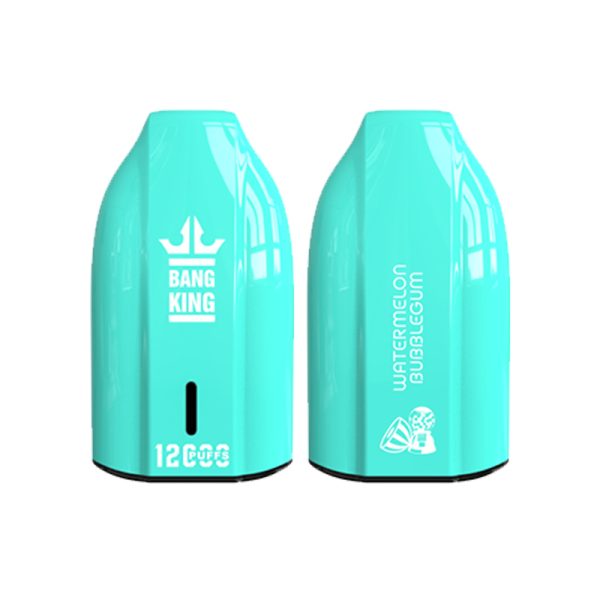 bang king 12000 puff Bang King 12000 | Esplora Bang King Vape 12000