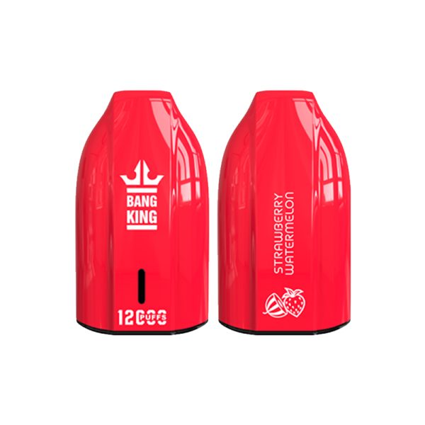 bang king 12000 puff Bang King 12000 | Esplora Bang King Vape 12000
