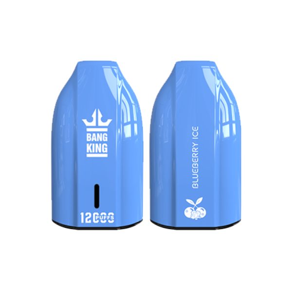 bang king 12000 puff Bang King 12000 | Esplora Bang King Vape 12000
