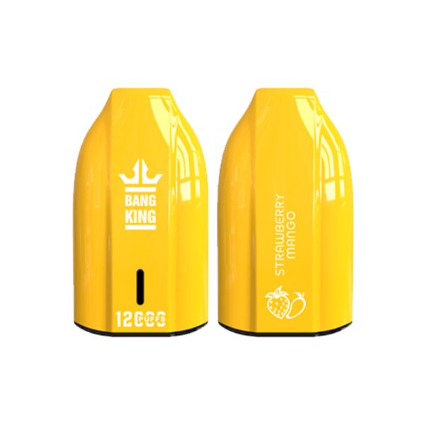 bang king 12000 puff Bang King 12000 | Esplora Bang King Vape 12000