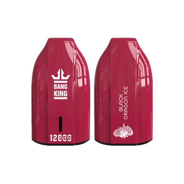 bang king 12000 puff Bang King 12000 | Esplora Bang King Vape 12000
