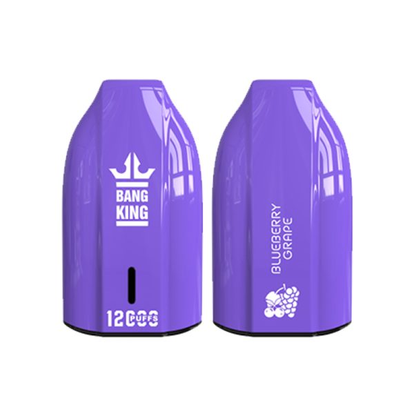 bang king 12000 puff Bang King 12000 | Esplora Bang King Vape 12000